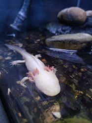 -Zoolung Zoolung动物主题公园(海信广场店)