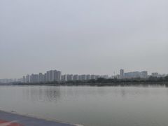 -渭滨公园