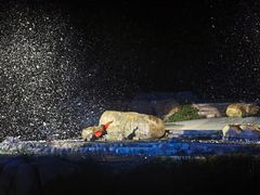 -禅宗少林·音乐大典