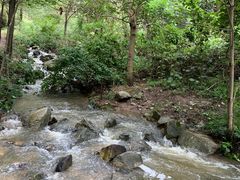 -秦岭风景区