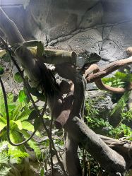 -Zoolung Zoolung动物主题公园(海信广场店)