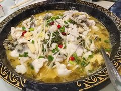 -金三可市井水煮鱼(金碧园店)