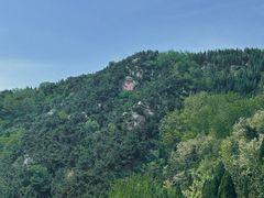-龙口南山旅游景区