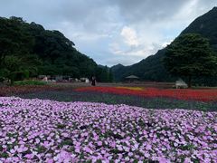-广州市石门国家森林公园