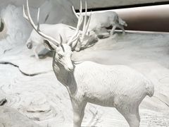 -中国湿地博物馆