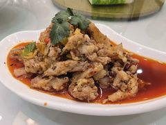 -春发芽葫芦头(科技二路旗舰店)