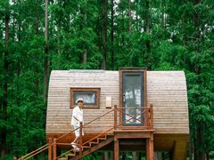 -黄海国家森林公园