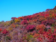 -北京西山国家森林公园