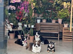-自由生长植物工作室(深港花卉中心店)