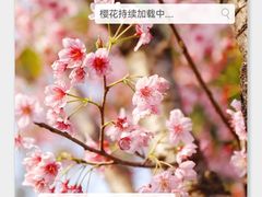 -福建鲤鱼洲酒店