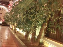 -小江南(老洋桥店)
