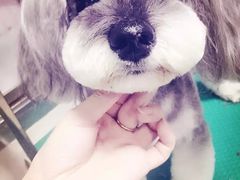 -瑞派宠物医院·24小时骨科·心脏·核磁(哈尔滨南岗店)