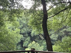 -巴倒烫陆派重庆火锅(南山店)