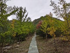 -北京鹫峰国家森林公园