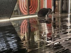 -IL Forno 意坊·意大利餐厅(温州万象城店)