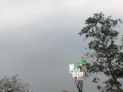 -黄埔油麻山森林公园