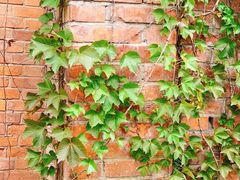 -梵几(东信·和创园店)