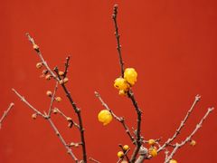 -无锡梅园公园
