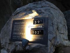-海口观澜湖火山温泉谷