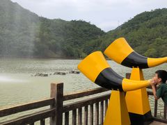 -广州白江湖森林公园