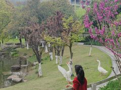 -宁波九龙湖开元度假村