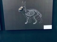 -北京周口店北京人遗址博物馆
