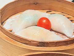 -新兴·金羊座·粤菜点心(乐峰店)