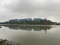 -华侨城湿地公园