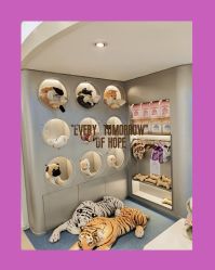 -MINI MARS KIDS CLUB亲子家庭中心(杨浦黄兴店)