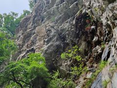 -太平万花山景区