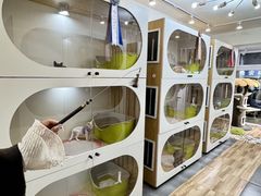 -青奢宠物·青奢猫舍