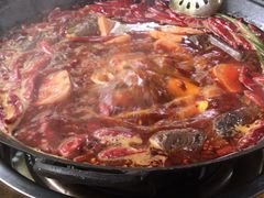 -黄潇洒老火锅(九眼桥宏济巷店)