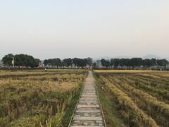 -光明小镇欢乐田园