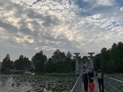 -东湖落雁景区