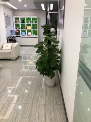 -悟空祛痘·亚健康皮肤管理中心