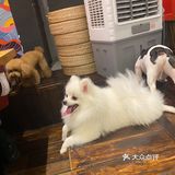 南宁美食|如果愿望能够实现，这家店我可去去吃N次