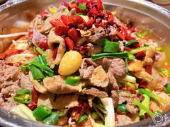 老板的牛肉-成都娃娃花园餐厅 (南艺旗舰店)
