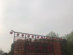 -合肥滨湖国家森林公园