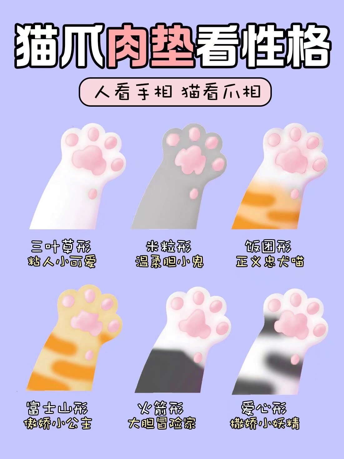 96猫爪肉垫看性格