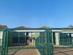 -秦皇岛野生动物园