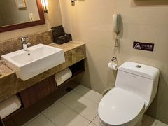 -和颐至尚酒店(石家庄勒泰中心省博物院店)