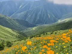 -驼梁风景区