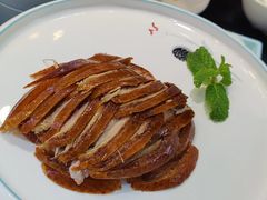 -紫光园·烤鸭·北京菜(团结湖店)