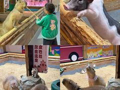 -顺德南宏海立方海洋公园