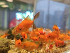 -氿熹干锅•牛蛙•烤鱼(印象城店)