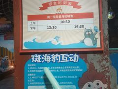 -萌宠奇缘