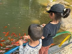 -陶祖圣境风景区