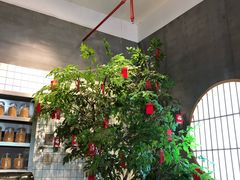 -花悦豆香