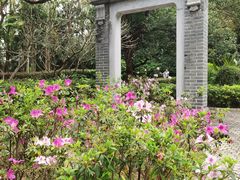 -深圳国际园林花卉博览园