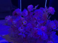 -方糖KTV-PLUS(世茂广场店)